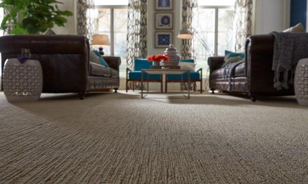 Why Wall to Wall Carpets Are a Must-Have for Your Home