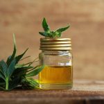 cbd oil canada