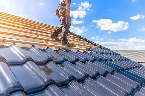 asphalt shingles