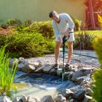 Pond Maintenance Tips